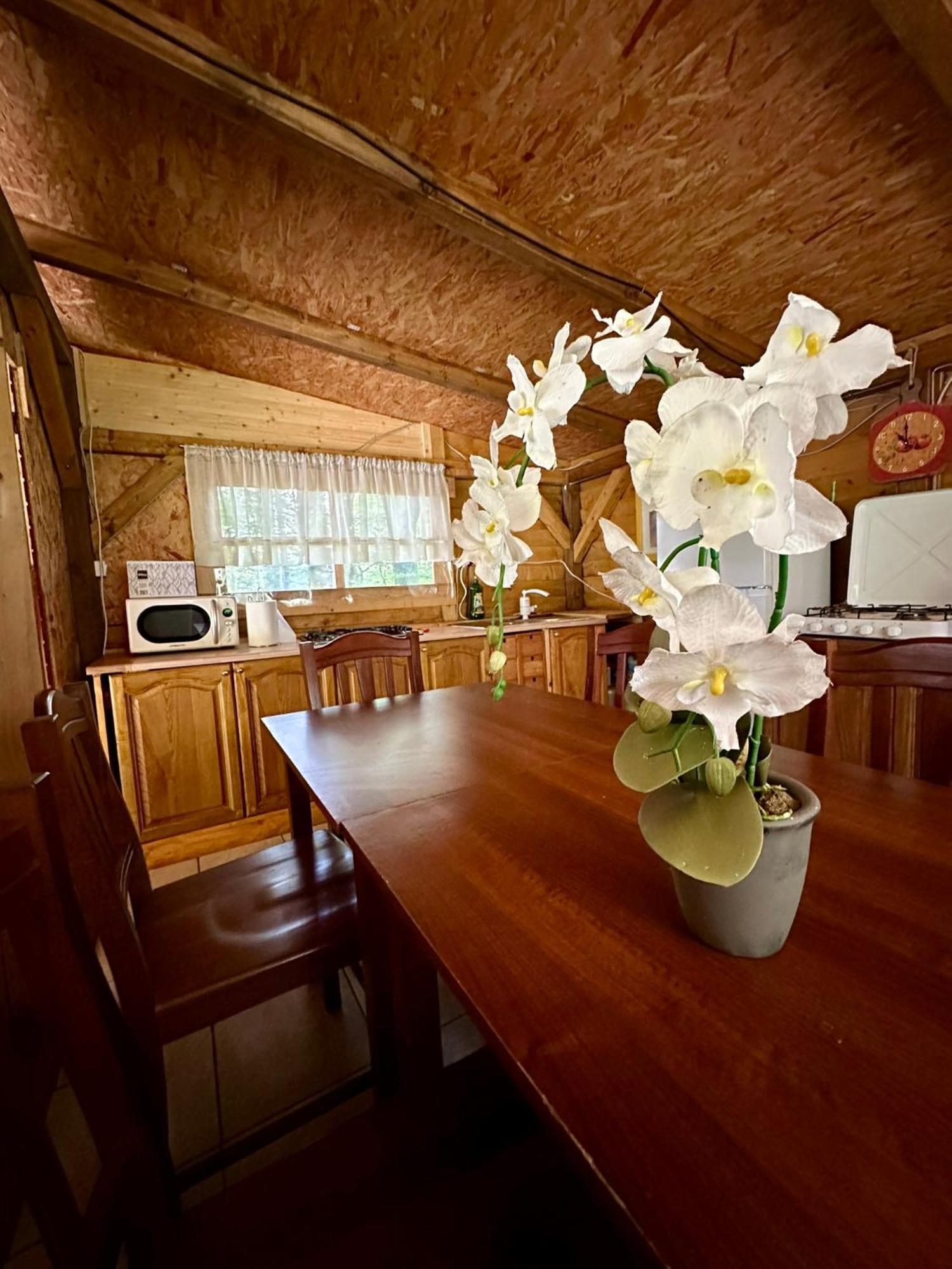 Glamping Krn 호텔 코바리드 외부 사진